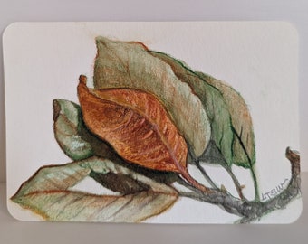 Watercolor small Original painting of leaves, still life.