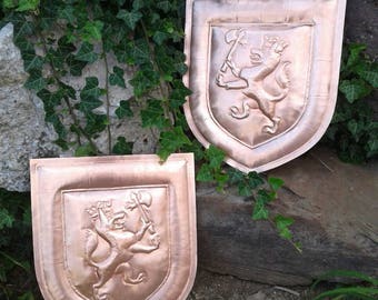 Two Shield Gate Shields