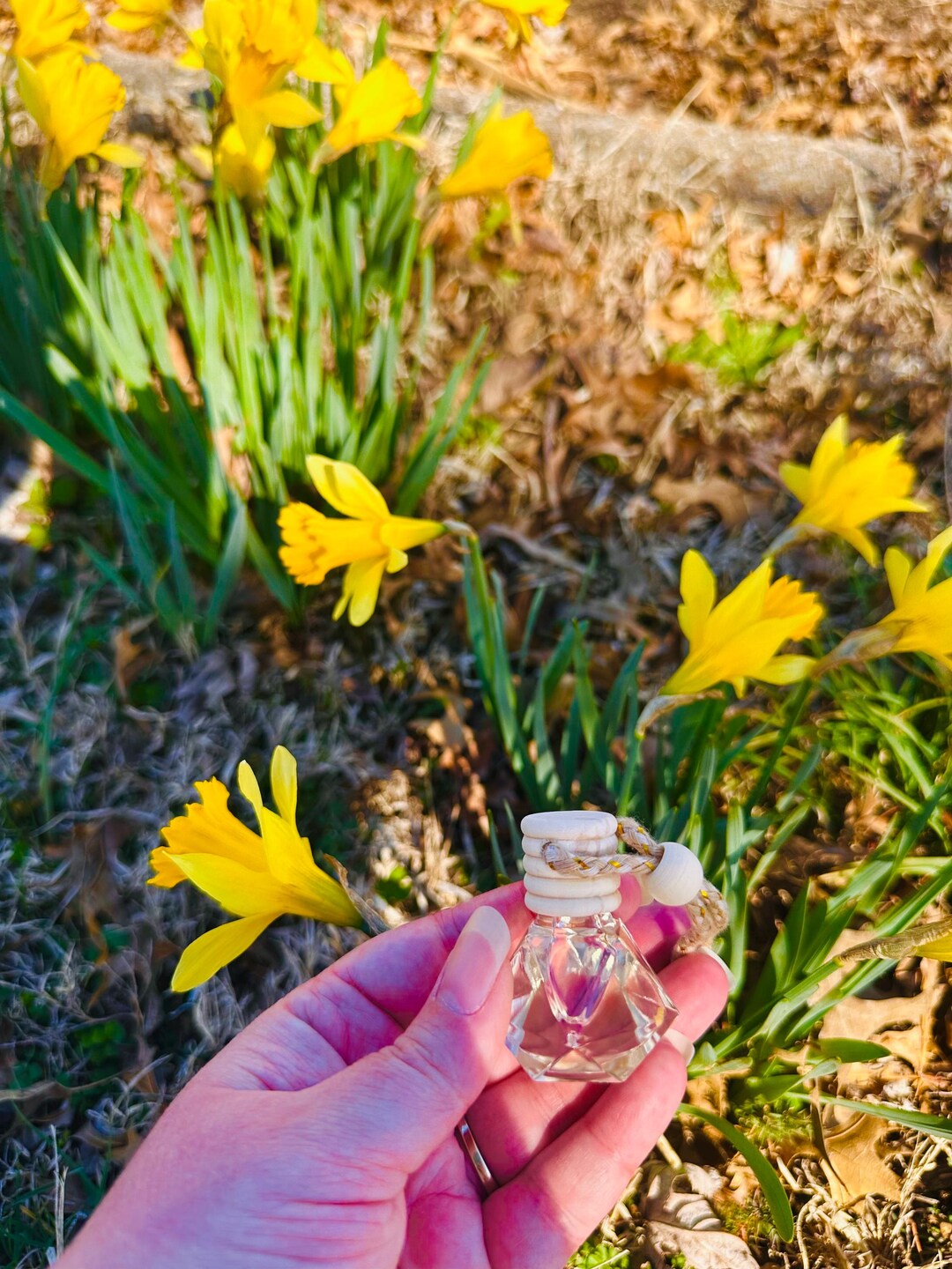 Spring Diffusers Spring Sunshine Scent Diffusers - Etsy