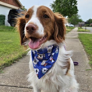 Medium Colorful Dog Faces & Rainbow Hearts Reversible Bandana – Handmade Cotton Slide-On Scarf for Medium Dogs