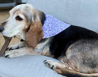 Paw Dog Bandana that Slides Over the Collar Small Medium Large