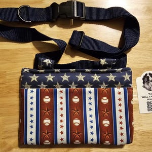 Roter, weißer und blauer Leckerli-Beutel des amerikanischen Baseball
