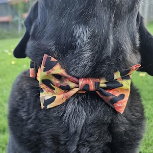 May include: A black dog wearing a colorful bow tie. The bow tie features a pattern of orange, yellow, and black leaf-like shapes. The dog's fur is dark, and the bow tie is centered on its neck.