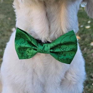 Puede incluir: Una pajarita verde con un estampado floral verde oscuro. La pajarita está centrada en el cuello de un perro blanco, con el pelaje del perro visible en el fondo. La pajarita es de tela.