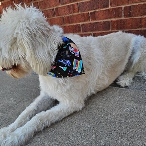 Puede incluir: Un perro de color claro que lleva un pañuelo negro con un patrón colorido con temática de ciencia y libros. El perro está tumbado sobre una superficie de hormigón frente a una pared de ladrillos.