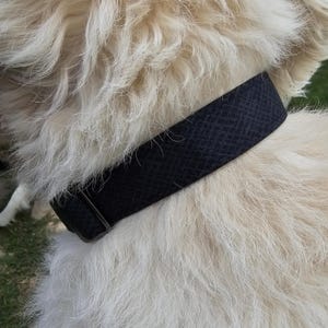 Puede incluir: Un collar negro para perros con un patrón texturizado, asegurado con una hebilla de metal, se muestra sobre un fondo de pelaje esponjoso y de color claro. El collar parece estar hecho de tela duradera.