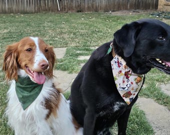 May include: Two dogs sitting on grass, one brown and white with a green bandana, the other black with a patterned bandana. The dogs are outdoors in a grassy area with a wooden fence in the background.