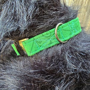 Green Scrolls Small Dog Collar with 5/8 Inch Wide Strap & Durable Metal Hardware