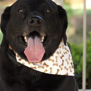 Bone Treat Dog Reversible Bandana that Slides Over the Collar