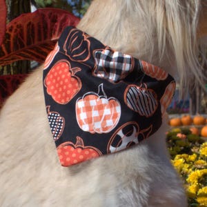 May include: A black dog bandana with a repeating pattern of orange pumpkins in various styles. Some pumpkins have polka dots, stripes, or gingham patterns. The bandana is tied around a dog's neck, with a blurred background of fall foliage.