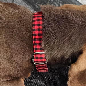May include: A red and black plaid dog collar with a silver-colored metal buckle. The collar is wrapped around a dog's neck, with brown fur visible on either side.