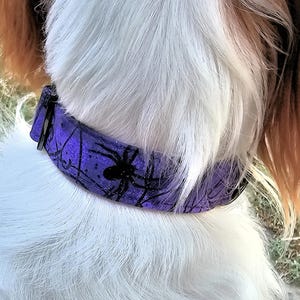 May include: A purple dog collar with a black spider and web design. The collar is made of a durable material and features a black buckle. The design is perfect for Halloween or any time of year.