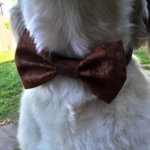 Puede incluir: Una pajarita marrón estampada se lleva alrededor del cuello de un perro blanco. La pajarita está hecha de una tela texturizada. El pelaje del perro es largo y esponjoso.