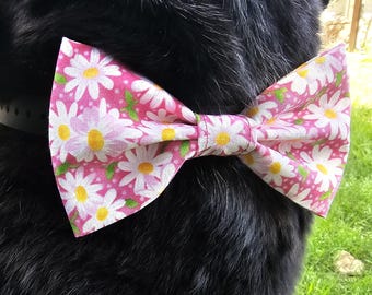 Gänseblümchen Fliege in klein oder groß Baumwolle Slip-On-Kragen Accessoire