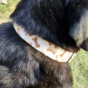 May include: A cream-colored dog collar with a repeating pattern of brown dog bones. The collar is around the neck of a black dog, with the dog's fur visible. The collar appears to be made of fabric.