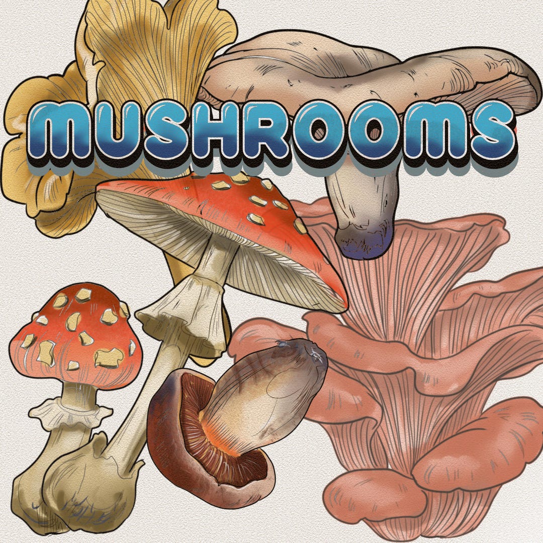 Procreate Mushroom Stamps - Etsy Australia
