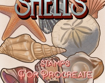 Procreate stamp set of shells