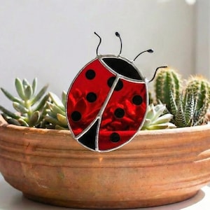 Op de afbeelding: Een rood en zwart glas-in-lood lieveheersbeestje ornament, geplaatst voor een terracotta plantenpot gevuld met vetplanten en cactussen. Het woord "Ladybug" staat in cursiefschrift linksboven. Het beeld heeft een decoratief thema.