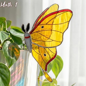 May include: A stained glass Luna Moth 1 decoration with yellow wings and red trim, near a potted plant. The moth has black antennae and a silver body. The plant has green heart-shaped leaves. The background is a white surface.