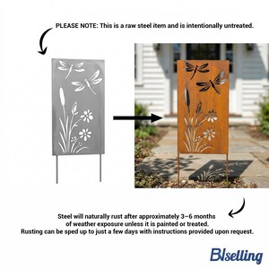 a raw steel item with a dragonfly design, and it is intentionally untreated. The steel will naturally rust after approximately 3-6 months of weather exposure unless it is painted or treated. Rusting can be sped up to just a few days with instructions provided upon request.
