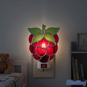 May include: A stained glass night light shaped like a raspberry with red glass segments and green glass leaves. The light is plugged into a wall outlet and features a white plastic base with a red power switch in the center of the fixture.