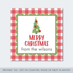 May include: Red and white gingham background with a green border and a white interior. A green Christmas tree with red, blue, and pink ornaments and a yellow star on top is in the center. The text "Merry Christmas from the wilsons" is below the tree.