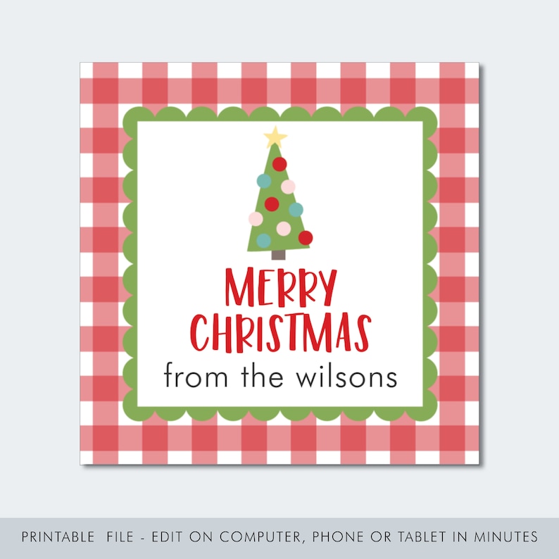 May include: Red and white gingham background with a green border and a white interior. A green Christmas tree with red, blue, and pink ornaments and a yellow star on top is in the center. The text "Merry Christmas from the wilsons" is below the tree.