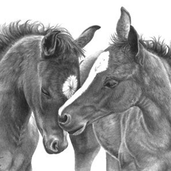 SALE ON Print of "Star and Blaze"