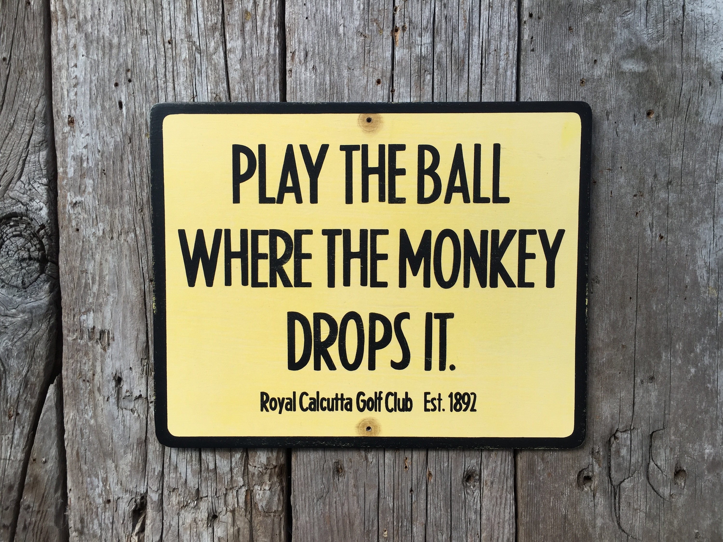 Calcutta golf balls deals