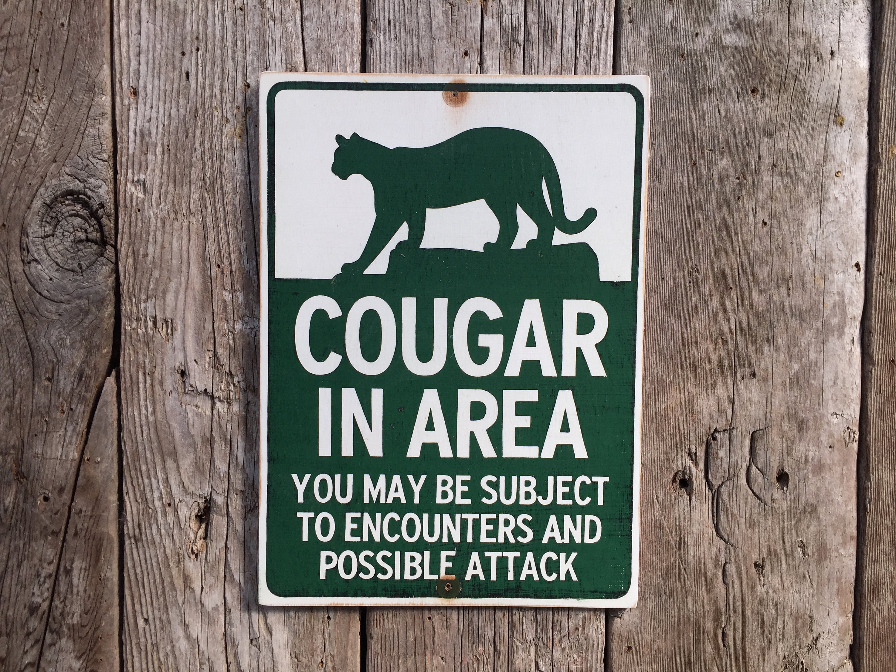 Cougar Warning Sign Handmade Screen Printed Sign picture