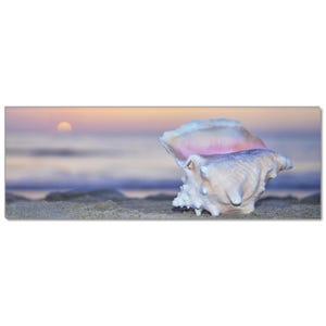 Conch Shell Wall Art: Tropical Beach Photo - Stretched Canvas