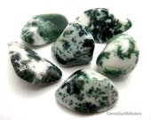 Tree Agate Tumbled Stone, Rock Hound, Crystal Healing, Stones, Feng Shui, Reiki, Grids, Crystal Supplies, Crystal Jewelry, Meditation