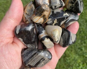 Silverleaf Jasper Etsy Silverleaf Jasper Etsy