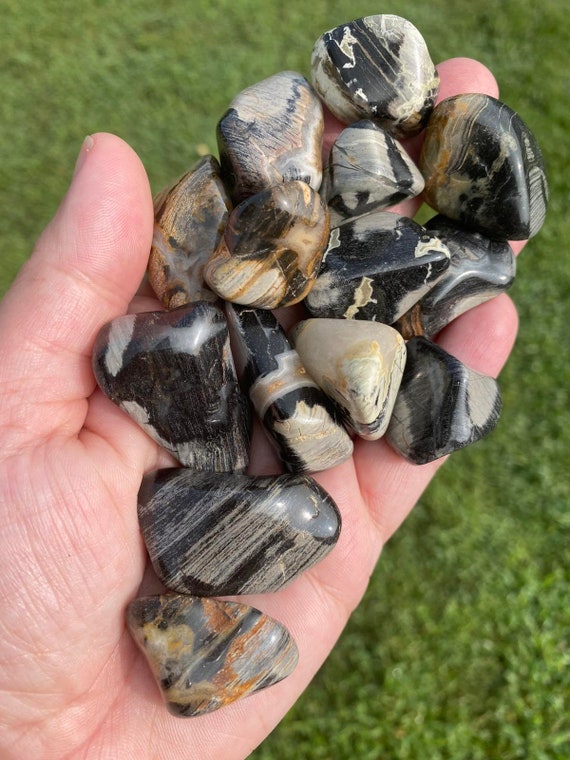Silverleaf Jasper Tumbled Stone Rock Hound Pocket Stone Etsy
