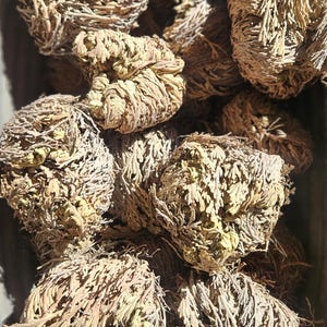 Jericho Flower, Rose of Jericho, Love, Pagan Wiccan, Magic, Power, Aromatherapy, Plants, Dried Flowers, Herbs, Roots, Magic, image 2