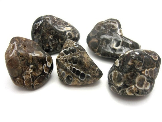 polished stone meaning