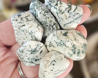 Tree Agate Tumbled Stone, One, Rock Hound, Crystal Healing, Stones, Feng Shui, Reiki, Grids, Crystal Supplies, Crystal Jewelry, Meditation