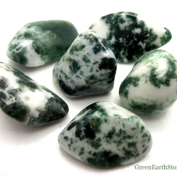 Tree Agate Tumbled Stone, Rock Hound, Crystal Healing, Stones, Feng Shui, Reiki, Grids, Crystal Supplies, Crystal Jewelry, Meditation