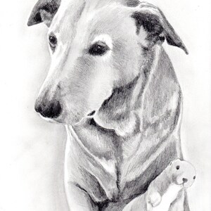 Custom Dog Pet Portrait Pencil 8x10