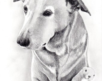 Custom Dog Pet Portrait Pencil 8x10