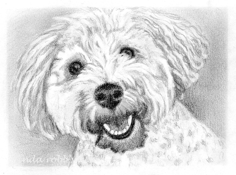 Custom 5x7 Pet Portrait in Graphite Pencil