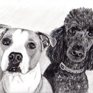 Personalized 11x14 Graphite Pet Drawing - Handcrafted Dog Art