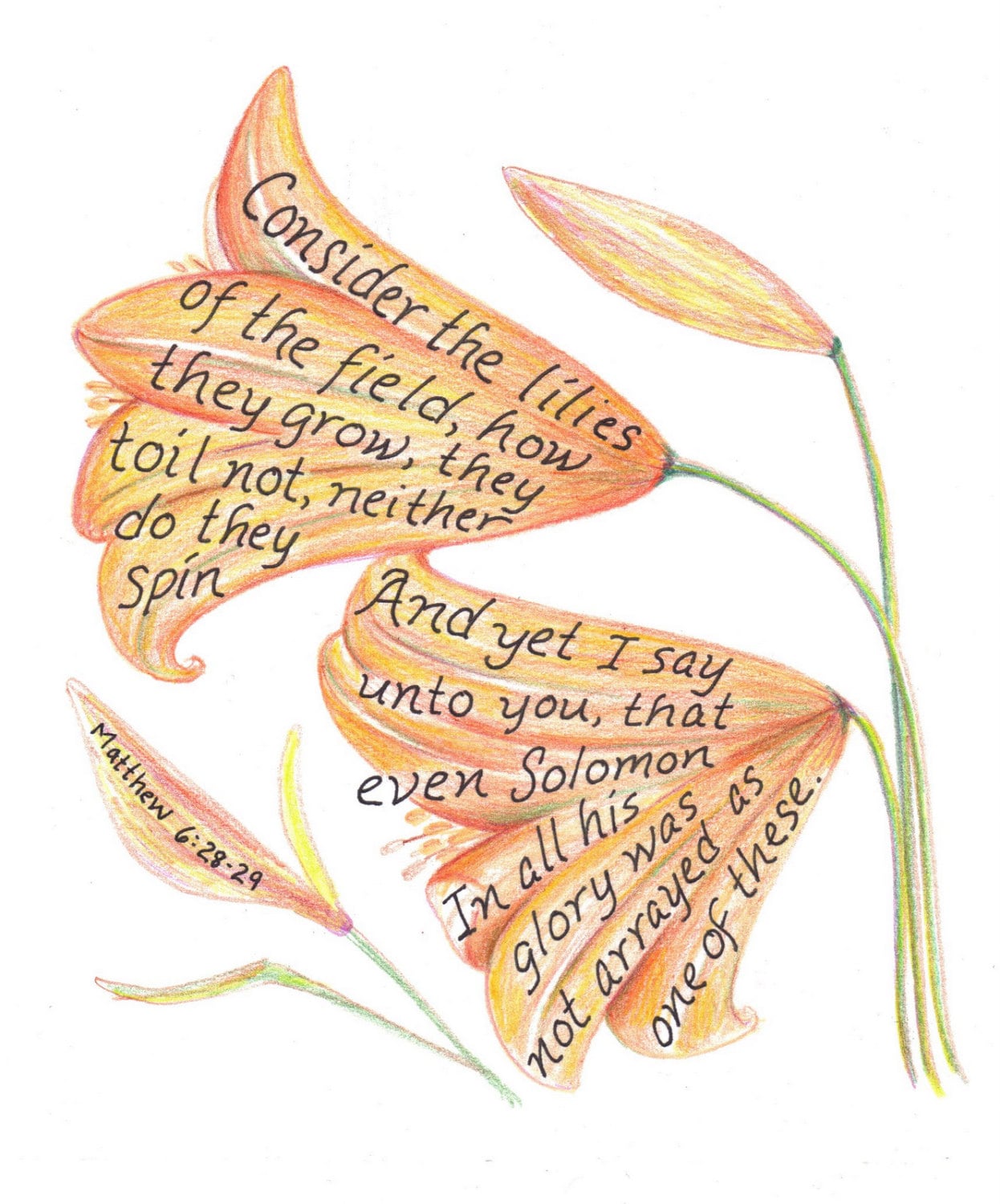 Consider the Lilies Scripture Design Inspirational Print Etsy