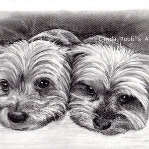 Pet portrait grouping custom graphite pencil 8&quot; x 10&quot;