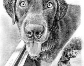 Custom Dog Pet Portrait Pencil 8x10