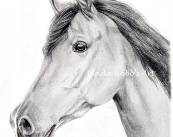 Custom equine pencil portraits original