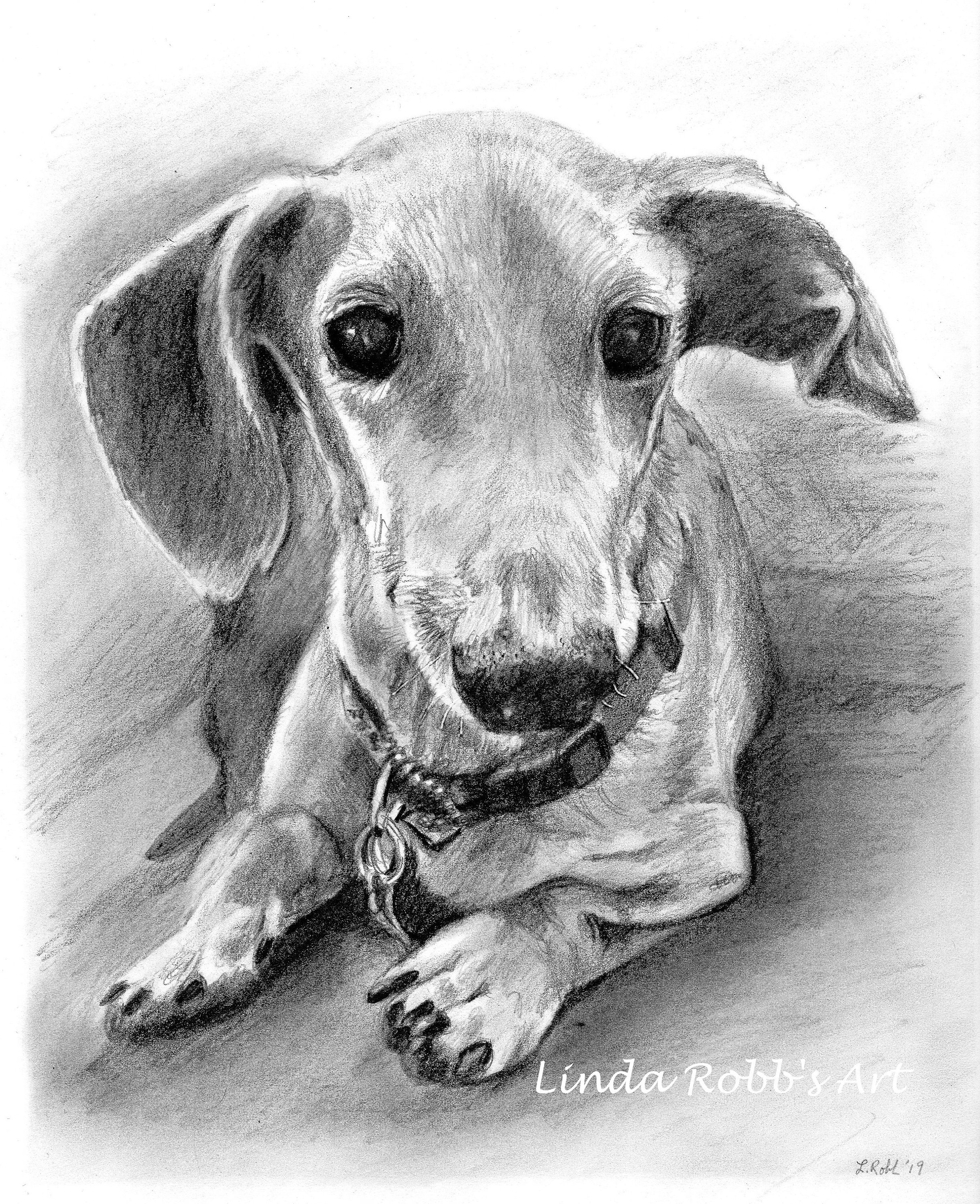 Custom graphite pencil pet portrait 8" x 10"