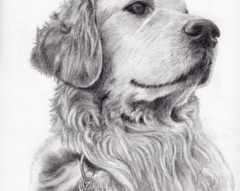 Custom Dog Pet Portrait Graphite Pencil 8x10