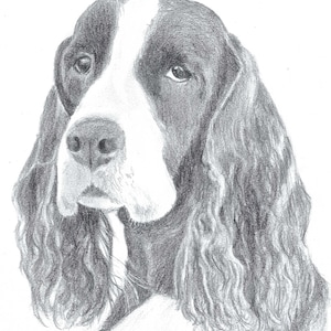 Custom Dog Pet Portrait Pencil 8x10