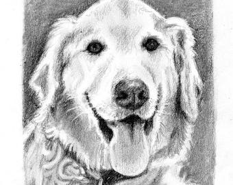 5x7 Custom Pet Portrait in Graphite Pencil